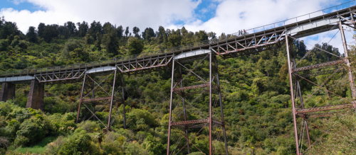 Ohakune Old Coach Road